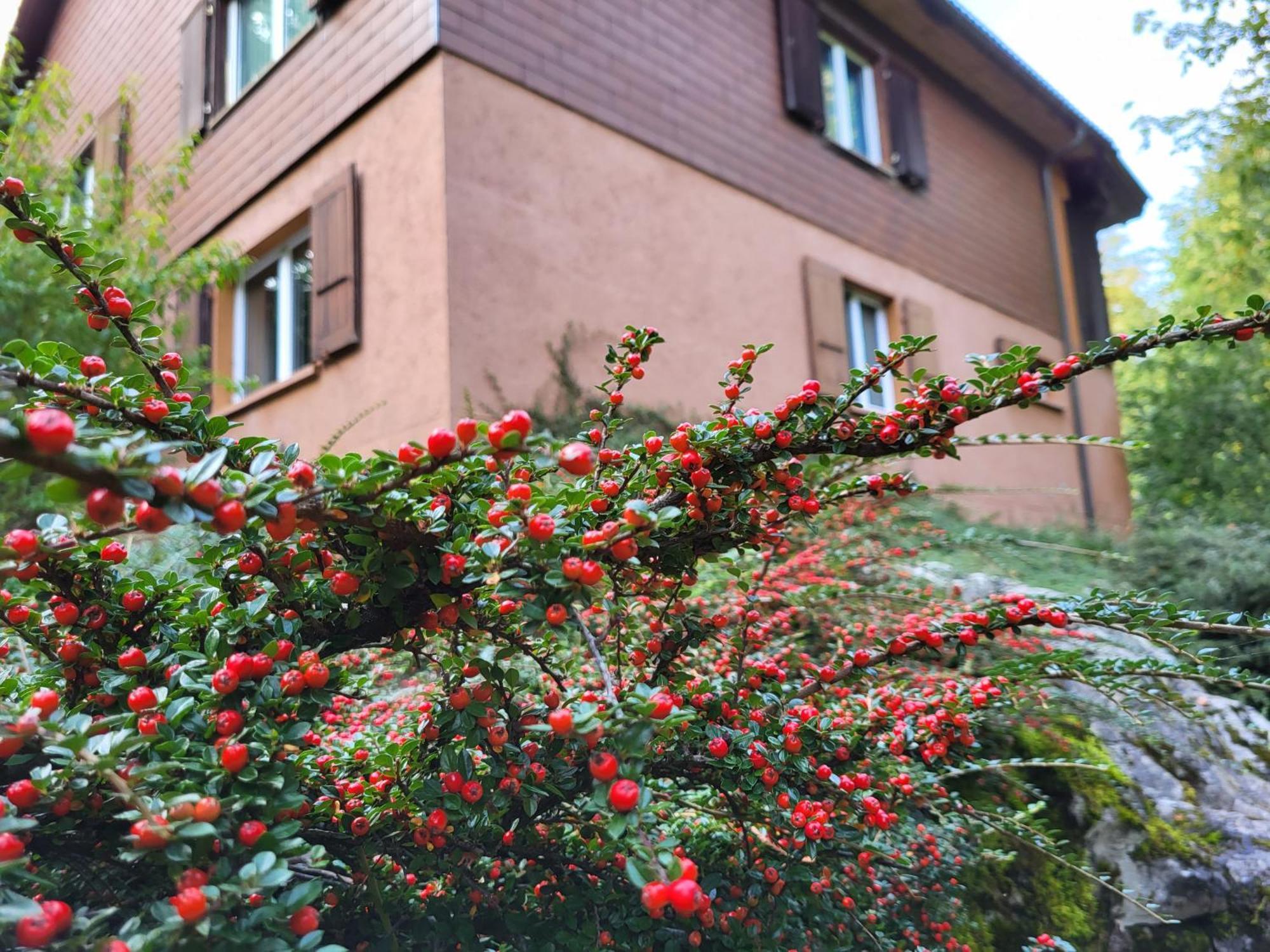 Ferienhaus Baerschwendi Lungern Exterior foto
