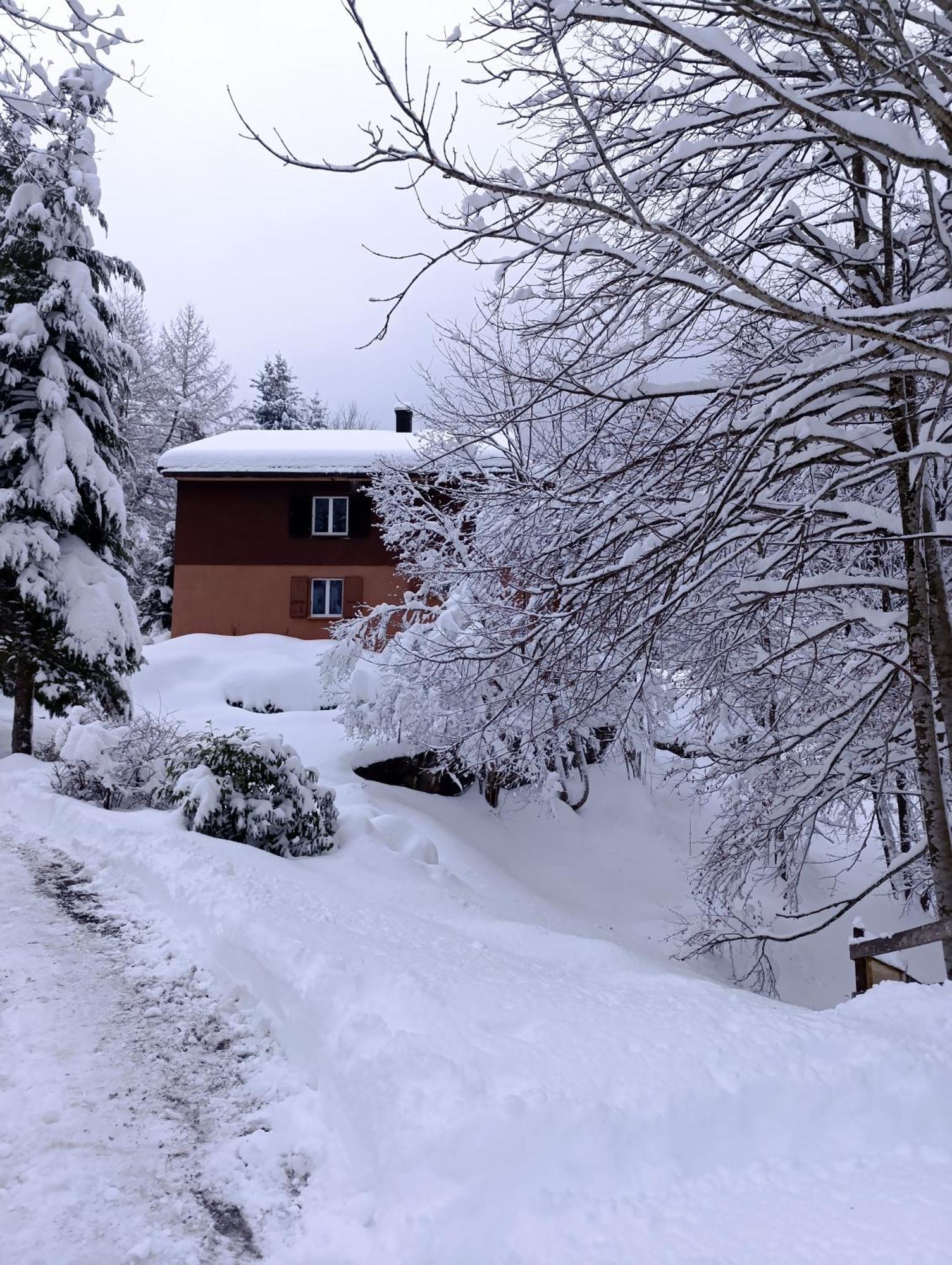 Ferienhaus Baerschwendi Lungern Exterior foto